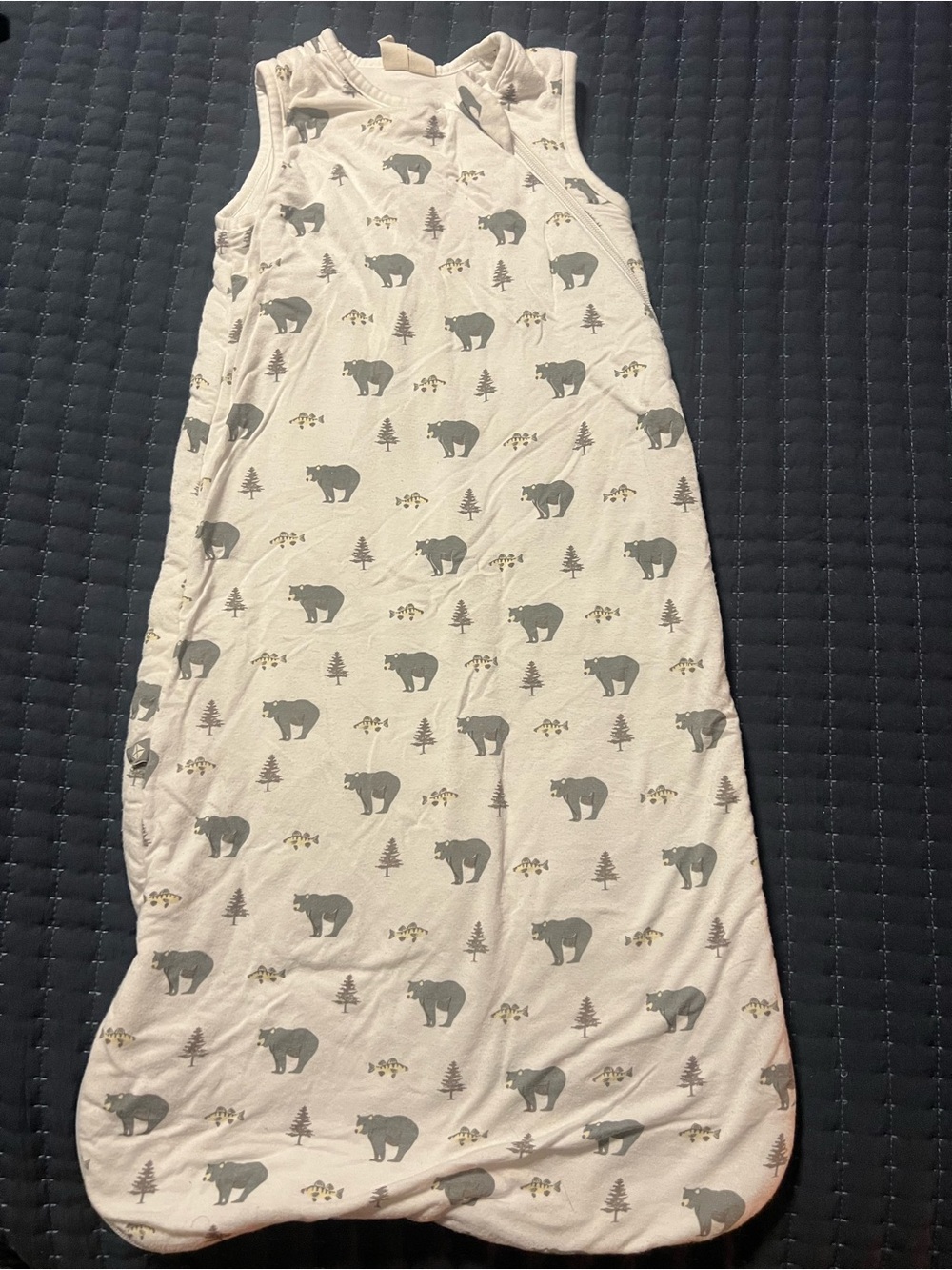 Kyte BABY Cream Sleep Sack with Gray Bear Print